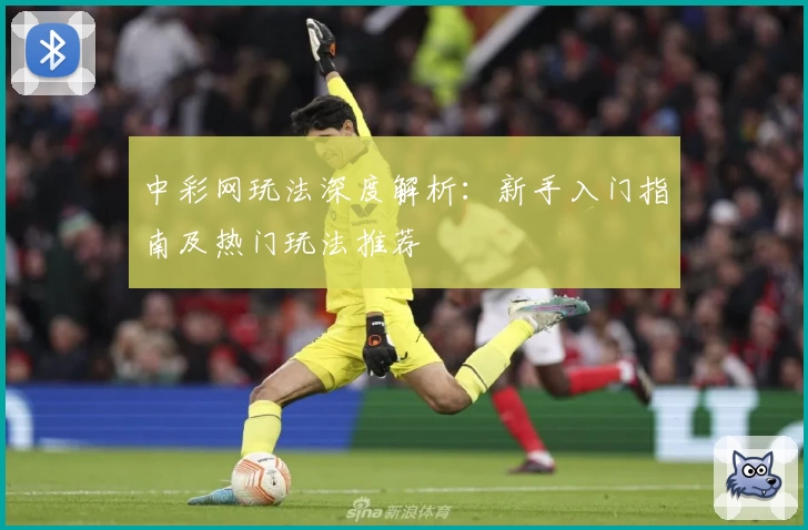 中彩网玩法深度解析：新手入门指南及热门玩法推荐