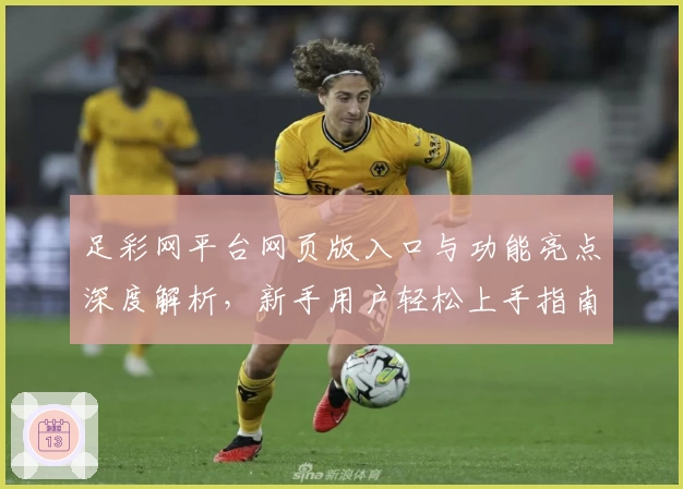 足彩网平台网页版入口与功能亮点深度解析，新手用户轻松上手指南