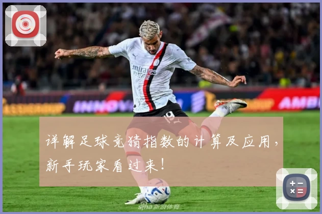 详解足球竞猜指数的计算及应用，新手玩家看过来！