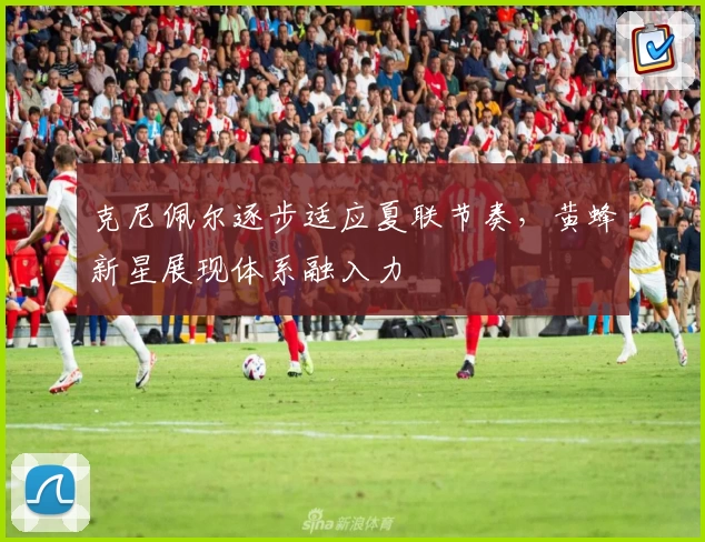克尼佩尔逐步适应夏联节奏，黄蜂新星展现体系融入力