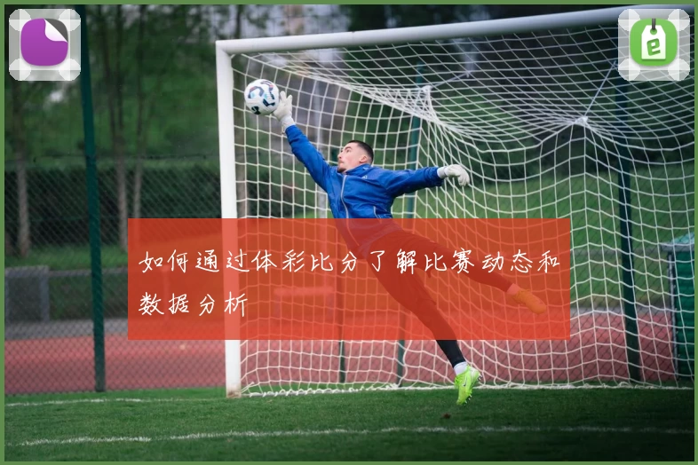 如何通过体彩比分了解比赛动态和数据分析