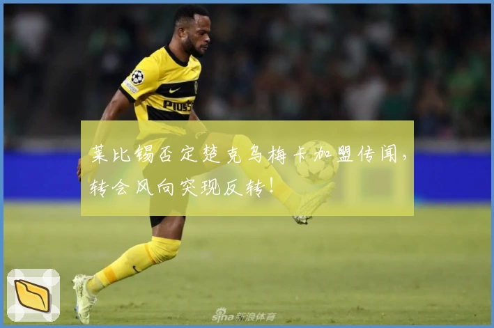 莱比锡否定楚克乌梅卡加盟传闻,转会风向突现反转!