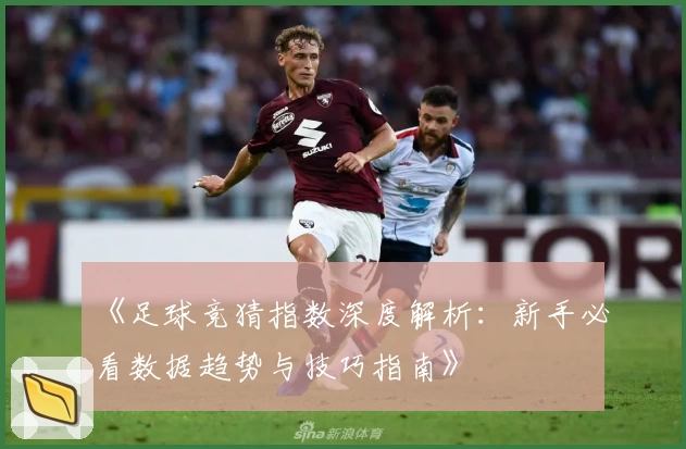 《足球竞猜指数深度解析：新手必看数据趋势与技巧指南》