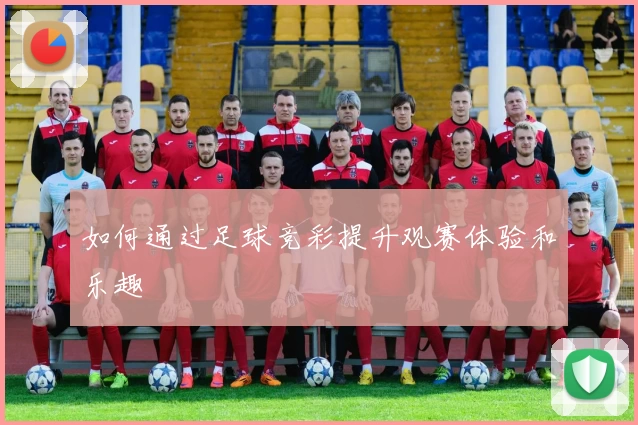 如何通过足球竞彩提升观赛体验和乐趣