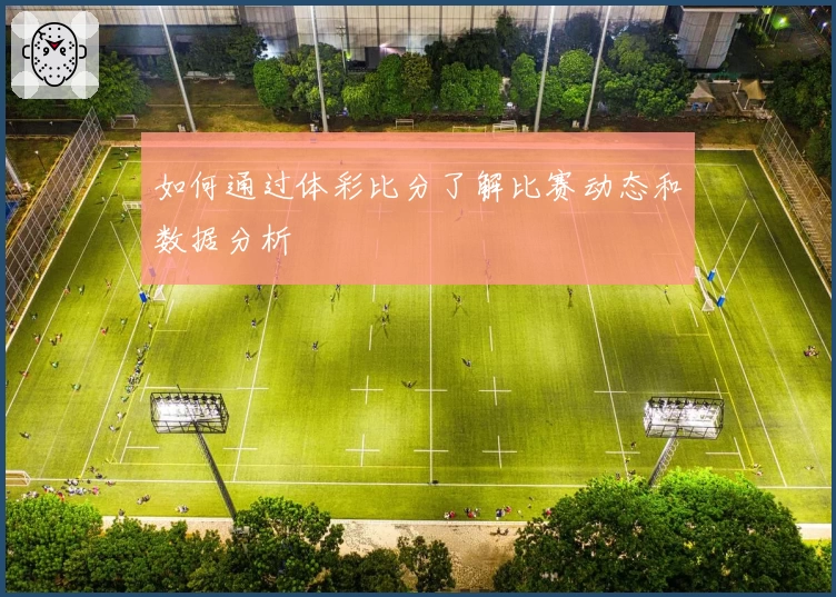 如何通过体彩比分了解比赛动态和数据分析
